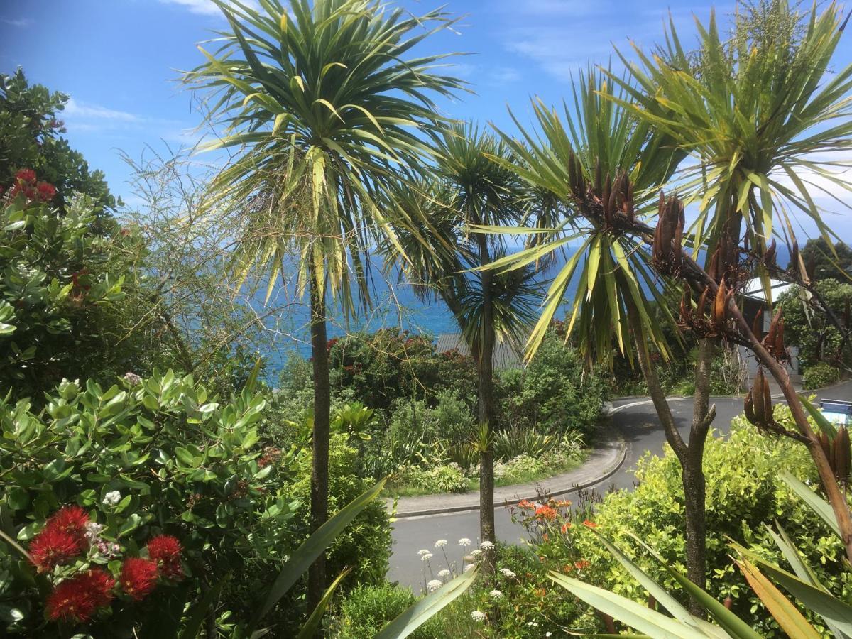 Fantail B&B Tairua Esterno foto